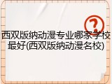 西双版纳动漫专业哪家学校最好(西双版纳动漫名校)