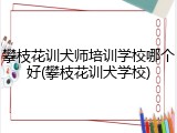 攀枝花训犬师培训学校哪个好(攀枝花训犬学校)
