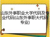 山东外事职业大学代码及专业代码(山东外事职大代码专业)