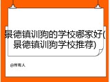 景德镇训狗的学校哪家好(景德镇训狗学校推荐)