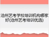 沧州艺考学校培训机构哪家好(沧州艺考培训优选)