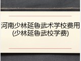 河南少林延鲁武术学校费用(少林延鲁武校学费)