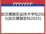 武汉黄陂农业技术学校2025(武汉黄陂农校2025)