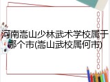 河南嵩山少林武术学校属于哪个市(嵩山武校属何市)