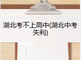 湖北考不上高中(湖北中考失利)