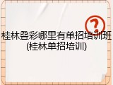 桂林叠彩哪里有单招培训班(桂林单招培训)