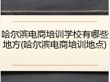 哈尔滨电商培训学校有哪些地方(哈尔滨电商培训地点)