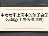中考考不上高中的孩子会怎么样呢(中考落榜出路)