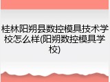 桂林阳朔县数控模具技术学校怎么样(阳朔数控模具学校)