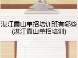 湛江霞山单招培训班有哪些(湛江霞山单招培训)