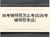 自考辅导班怎么考试(自考辅导班考试)