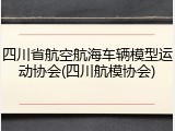 四川省航空航海车辆模型运动协会(四川航模协会)