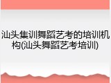 汕头集训舞蹈艺考的培训机构(汕头舞蹈艺考培训)