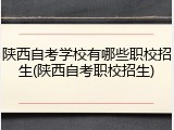 陕西自考学校有哪些职校招生(陕西自考职校招生)