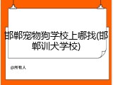 邯郸宠物狗学校上哪找(邯郸训犬学校)