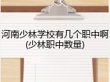 河南少林学校有几个职中啊(少林职中数量)