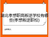 湖北孝感职高叛逆学校有哪些(孝感叛逆职校)