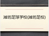 潍坊足球学校(潍坊足校)