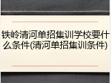 铁岭清河单招集训学校要什么条件(清河单招集训条件)