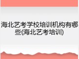 海北艺考学校培训机构有哪些(海北艺考培训)