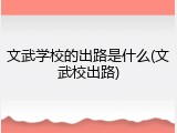 文武学校的出路是什么(文武校出路)