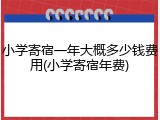 小学寄宿一年大概多少钱费用(小学寄宿年费)