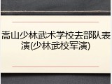 嵩山少林武术学校去部队表演(少林武校军演)