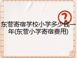 东营寄宿学校小学多少钱一年(东营小学寄宿费用)