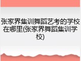 张家界集训舞蹈艺考的学校在哪里(张家界舞蹈集训学校)