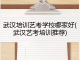武汉培训艺考学校哪家好(武汉艺考培训推荐)