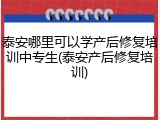 泰安哪里可以学产后修复培训中专生(泰安产后修复培训)