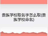 贵族学校取名字怎么取(贵族学校命名)