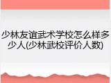 少林友谊武术学校怎么样多少人(少林武校评价人数)