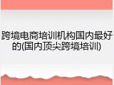 跨境电商培训机构国内最好的(国内顶尖跨境培训)