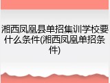 湘西凤凰县单招集训学校要什么条件(湘西凤凰单招条件)