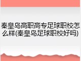 秦皇岛高职高专足球职校怎么样(秦皇岛足球职校好吗)
