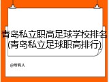 青岛私立职高足球学校排名(青岛私立足球职高排行)