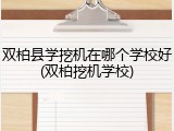 双柏县学挖机在哪个学校好(双柏挖机学校)