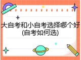 大自考和小自考选择哪个好(自考如何选)