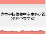 少林学校收费中专生多少钱(少林中专学费)