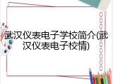 武汉仪表电子学校简介(武汉仪表电子校情)