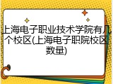 上海电子职业技术学院有几个校区(上海电子职院校区数量)