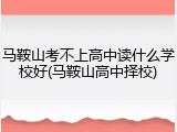 马鞍山考不上高中读什么学校好(马鞍山高中择校)