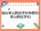烟台莱山数控学校有哪些(莱山数控学校)