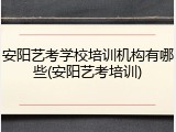 安阳艺考学校培训机构有哪些(安阳艺考培训)