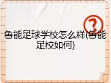 鲁能足球学校怎么样(鲁能足校如何)