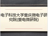 电子科技大学重庆微电子研究院(重电微研院)
