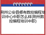 荆州公安县哪有数控编程培训中心中职怎么样(荆州数控编程培训中职)