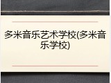 多米音乐艺术学校(多米音乐学校)