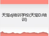 天宠dj培训学校(天宠DJ培训)